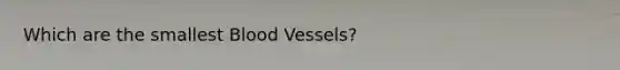 Which are the smallest Blood Vessels?