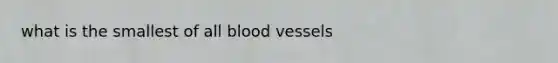 what is the smallest of all blood vessels