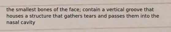 the smallest bones of the face; contain a vertical groove that houses a structure that gathers tears and passes them into the nasal cavity