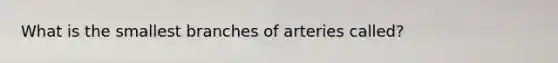 What is the smallest branches of arteries called?