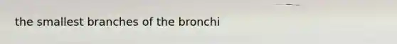 the smallest branches of the bronchi