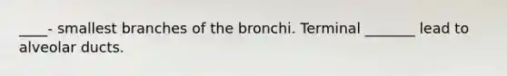 ____- smallest branches of the bronchi. Terminal _______ lead to alveolar ducts.