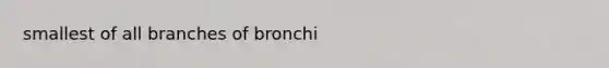 smallest of all branches of bronchi