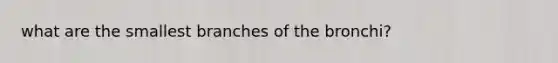 what are the smallest branches of the bronchi?