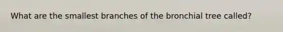 What are the smallest branches of the bronchial tree called?