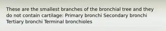 These are the smallest branches of the bronchial tree and they do not contain cartilage: Primary bronchi Secondary bronchi Tertiary bronchi Terminal bronchioles