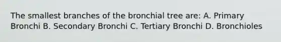 The smallest branches of the bronchial tree are: A. Primary Bronchi B. Secondary Bronchi C. Tertiary Bronchi D. Bronchioles