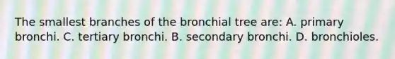 The smallest branches of the bronchial tree are: A. primary bronchi. C. tertiary bronchi. B. secondary bronchi. D. bronchioles.