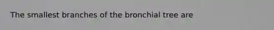 The smallest branches of the bronchial tree are