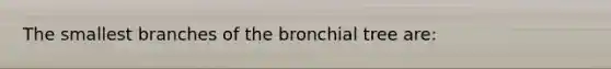 The smallest branches of the bronchial tree are: