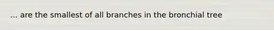 ... are the smallest of all branches in the bronchial tree