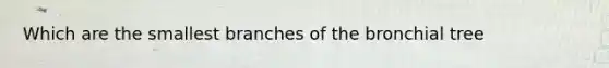 Which are the smallest branches of the bronchial tree