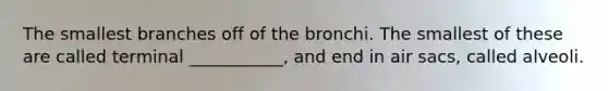 The smallest branches off of the bronchi. The smallest of these are called terminal ___________, and end in air sacs, called alveoli.