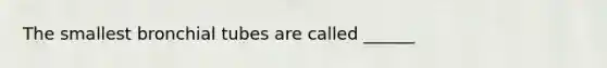 The smallest bronchial tubes are called ______