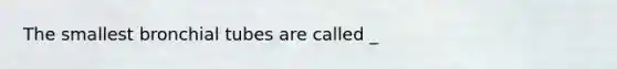 The smallest bronchial tubes are called _