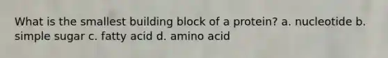 What is the smallest building block of a protein? a. nucleotide b. simple sugar c. fatty acid d. amino acid