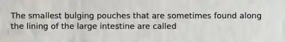 The smallest bulging pouches that are sometimes found along the lining of the large intestine are called