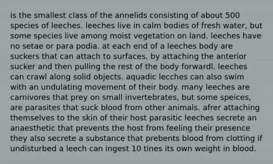 is the smallest class of the annelids consisting of about 500 species of leeches. leeches live in calm bodies of fresh water, but some species live among moist vegetation on land. leeches have no setae or para podia. at each end of a leeches body are suckers that can attach to surfaces. by attaching the anterior sucker and then pulling the rest of the body forwardl. leeches can crawl along solid objects. aquadic lecches can also swim with an undulating movement of their body. many leeches are carnivores that prey on small invertebrates, but some speices, are parasites that suck blood from other animals. afrer attaching themselves to the skin of their host parasitic leeches secrete an anaesthetic that prevents the host from feeling their presence they also secrete a substance that prebents blood from clotting if undisturbed a leech can ingest 10 tines its own weight in blood.