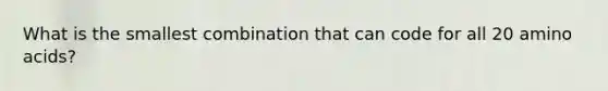 What is the smallest combination that can code for all 20 amino acids?