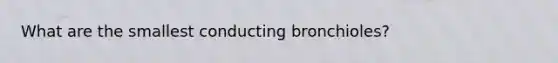 What are the smallest conducting bronchioles?