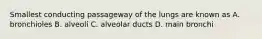 Smallest conducting passageway of the lungs are known as A. bronchioles B. alveoli C. alveolar ducts D. main bronchi