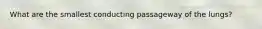 What are the smallest conducting passageway of the lungs?