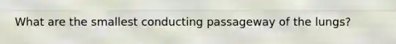What are the smallest conducting passageway of the lungs?