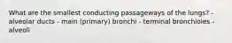 What are the smallest conducting passageways of the lungs? - alveolar ducts - main (primary) bronchi - terminal bronchioles - alveoli