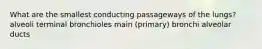 What are the smallest conducting passageways of the lungs? alveoli terminal bronchioles main (primary) bronchi alveolar ducts
