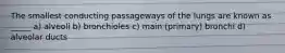 The smallest conducting passageways of the lungs are known as _____ a) alveoli b) bronchioles c) main (primary) bronchi d) alveolar ducts