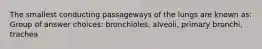 The smallest conducting passageways of the lungs are known as: Group of answer choices: bronchioles, alveoli, primary bronchi, trachea