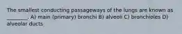 The smallest conducting passageways of the lungs are known as ________. A) main (primary) bronchi B) alveoli C) bronchioles D) alveolar ducts