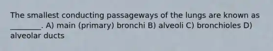 The smallest conducting passageways of the lungs are known as ________. A) main (primary) bronchi B) alveoli C) bronchioles D) alveolar ducts