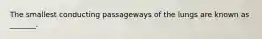 The smallest conducting passageways of the lungs are known as _______.