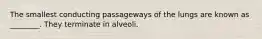 The smallest conducting passageways of the lungs are known as ________. They terminate in alveoli.