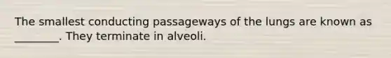 The smallest conducting passageways of the lungs are known as ________. They terminate in alveoli.