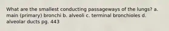 What are the smallest conducting passageways of the lungs? a. main (primary) bronchi b. alveoli c. terminal bronchioles d. alveolar ducts pg. 443