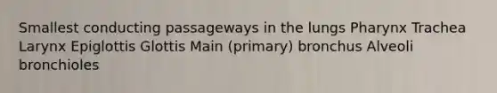 Smallest conducting passageways in the lungs Pharynx Trachea Larynx Epiglottis Glottis Main (primary) bronchus Alveoli bronchioles