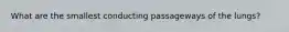 What are the smallest conducting passageways of the lungs?