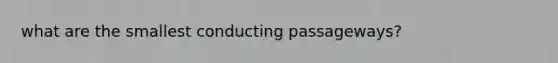 what are the smallest conducting passageways?