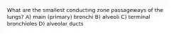 What are the smallest conducting zone passageways of the lungs? A) main (primary) bronchi B) alveoli C) terminal bronchioles D) alveolar ducts