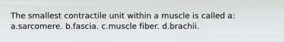 The smallest contractile unit within a muscle is called a: a.sarcomere. b.fascia. c.muscle fiber. d.brachii.