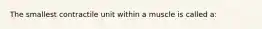 The smallest contractile unit within a muscle is called a: