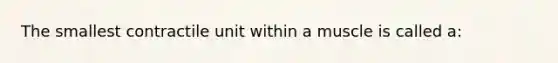 The smallest contractile unit within a muscle is called a: