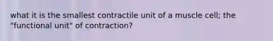 what it is the smallest contractile unit of a muscle cell; the "functional unit" of contraction?