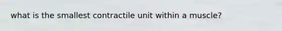 what is the smallest contractile unit within a muscle?