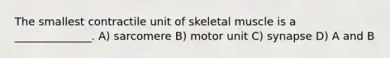 The smallest contractile unit of skeletal muscle is a ______________. A) sarcomere B) motor unit C) synapse D) A and B