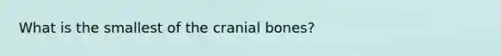 What is the smallest of the cranial bones?