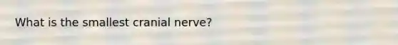 What is the smallest cranial nerve?