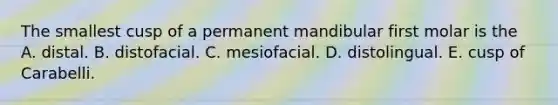 The smallest cusp of a permanent mandibular first molar is the A. distal. B. distofacial. C. mesiofacial. D. distolingual. E. cusp of Carabelli.